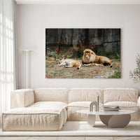 Thumbnail for Tableau Décoratif - Lions couchés - Toile Unique