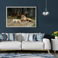 Thumbnail for Tableau Décoratif - Lions couchés - Toile Unique