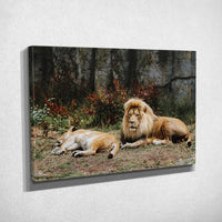 Thumbnail for Tableau Décoratif - Lions couchés - Toile Unique