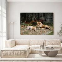 Thumbnail for Tableau Décoratif - Lions couchés - Toile Unique