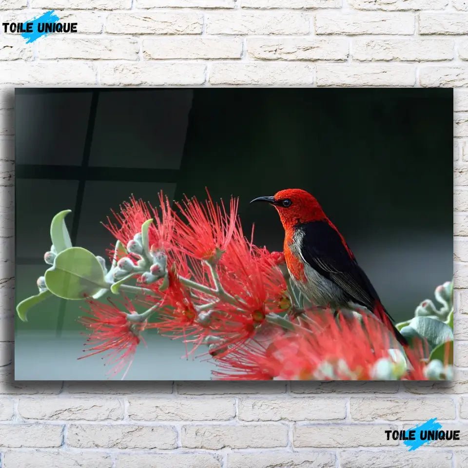 Tableau Décoratif - Oiseau Myzomela - Toile Unique